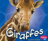 Giraffes (African Animals)