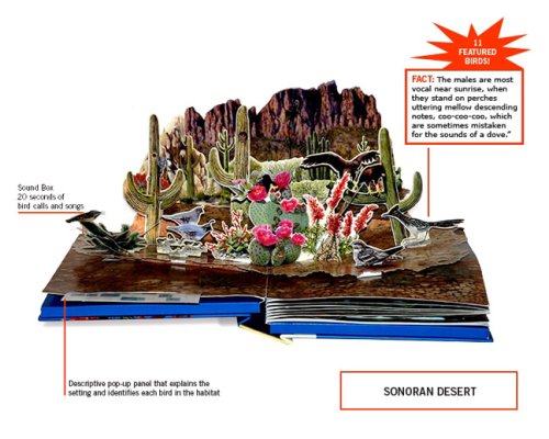 Birdscapes: A Pop-Up Celebration of Bird Songs in Stereo Sound under Reference in The Books Store