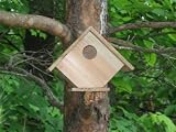 Cedar Bird House Primitive A-Frame Style