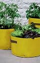 NEW EASY TO USE  VEGETABLE SALAD PATIO PLANTER X 3