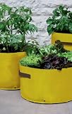 3x Vegetable Patio Planters