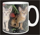 ABYSSINIAN KITTENS-POPPY CAT Coffee Mug
