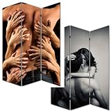 Foto-Paravent Paravent Raumteiler Spanische Wand M68