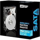 750GB Sata II 7200 Rpm 16MB Retail Kit