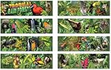 BBS TROPICAL RAIN FOREST GR 4-8