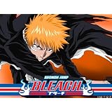 Bleach (English Dubbed) Season 4