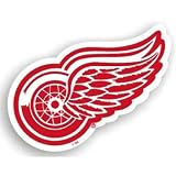 Detroit Red Wings Car Magnet