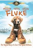 Fluke