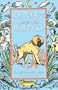 Akimbo and the Baboons [AKIMBO & THE BABOONS]