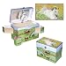 ENCHANTMINTS HIDEAWAY HORSE TREASURE JEWELRY BOX