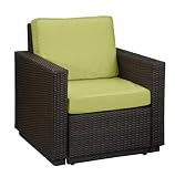 51kfUUWhThL. SL160  Riviera Arm Chair   Green Apple Fabric