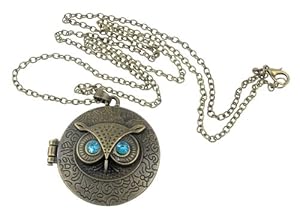 niceeshop(TM) Antiqued Vintage Owl Locket Long Pendant Necklace with Blue Zircon Eye