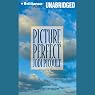 Picture Perfect