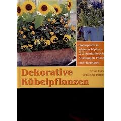 Evelegh dekorative K�belpflanzen Bechterm�nz 2002, 108 Seiten, toll bebildert