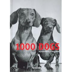 Tausend Hunde