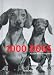 1000 Dogs (Klotz)