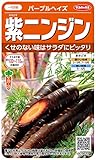サカタのタネ 実咲野菜5630 紫ニンジン パープルヘイズ 00925630