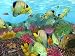 My Ocean Sim [Download] image 3