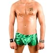 Mens New Sexy Tye Die Swirl Boxer Swimsuit Gary Majdell Sport