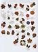 Bernina Artista Embroidery Card COLORS OF AUTUMN