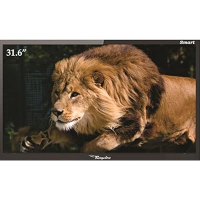 Rayshre 80 CM (31.6 inches) Full HD SMART LED TV (Black)