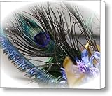 IMAGE OF Wedding Peacock Feather Canvas Print / Canvas Art - Artist Karen Musick