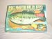 Rainbow Trout Singing Fish