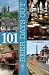 101 Beer Days Out (Camra) by Tim Hampson