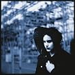 Blunderbuss