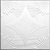 R14w 20 X 20 Tin Looking Ceiling Tile