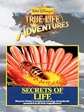 Secrets Of Life