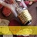 ANYQOO Edison Light Bulb Squirrel cage Filament Bulb Antique Lighting base (E26/E27) 40W