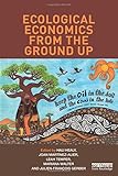 Ecological economics from the ground up
