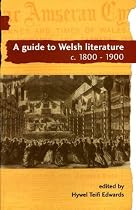 A Guide to Welsh Literature: 1800-1900 v. 5 (Guide to Welsh Literature)
