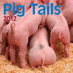 Pig Tails 2012 Wall Calendar