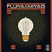 Lightbulbs-Special Edition
