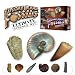 Ultimate Fossil Kit - Set of 15 Real Fossils - Includes Rare Specimens! 51kh9TOOwFL. SL75 Shop tour of I Dig Dinos fossil and Dinosaur shop