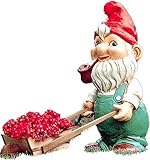 ���m�G�N�X�e���A �K�[�f���m�[�� �Ԏ� FT00358