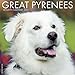 2016 Just Great Pyrenees Wall Calendar