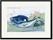 Black Framed/Matted Print 17x23, Blackfish and Pilas Fish