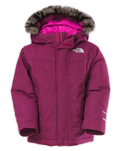 The North Face Little Girls' Greenland Down Jacket (Sizes 4 - 6X)