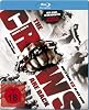 The Crows are back: Crows Zero II (DVD)