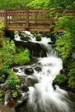 Wallmonkeys Peel and Stick Wall Decals - Bridge over Wahkeena Falls - 24H x 16W Removable Graphic