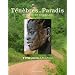 T�n�bres au Paradis : Africaines des Grands Lacs