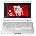 Eeepc 8g White - Xp