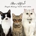 SINGLE HISTORY VOL.VI 2002-2008�ySHM-CD�z