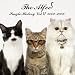 SINGLE HISTORY VOL.VI 2002-2008�ySHM-CD�z