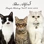 SINGLE HISTORY VOL.VI 2002-2008�ySHM-CD�z