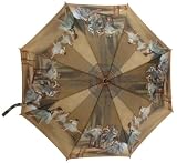 Degas Ballet Lesson Auto Button Folding Umbrella
