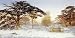 Untrodden Snow Within Three Miles Of Cha by Andrew Mccallum. Art Print Giclee on Canv...